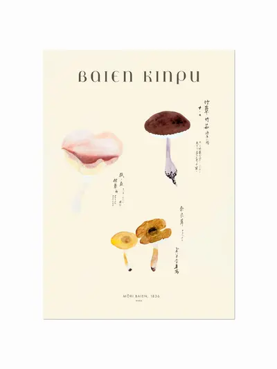 Baien Kinpu 01 plakat