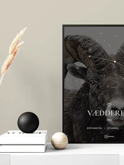 Vædderen Stjernetegn Plakat Motiv 30×42 cm (A3) plakat